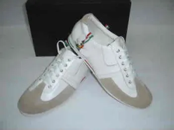 New style shoe