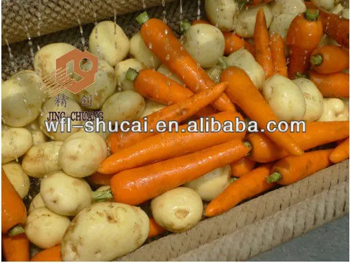 Taro Washing Machine/Potato Washer