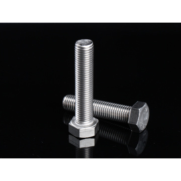 SS201 HEX HEX HEAD BOLT M10