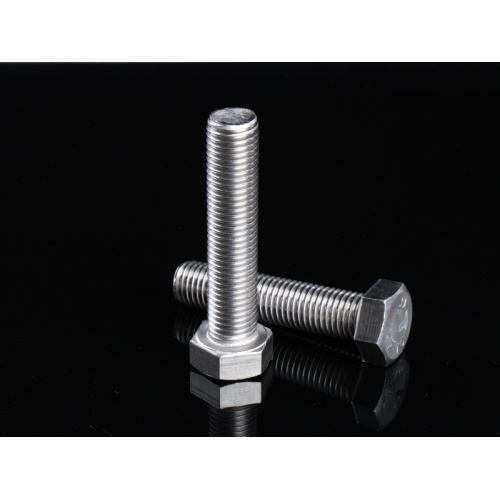 SS201 Hex Head Bolt M10