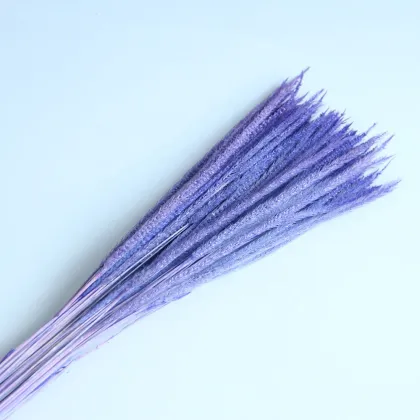Wholesale Colourful Kirin Grass for Wedding and Home Decoration