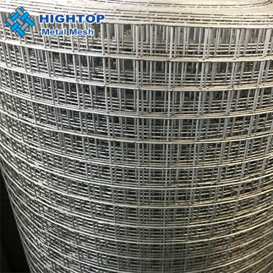 Affordable Solid Iron Poultry Wire with 1/2 Hex Mesh: Popular Choice for Chicken Enclosure