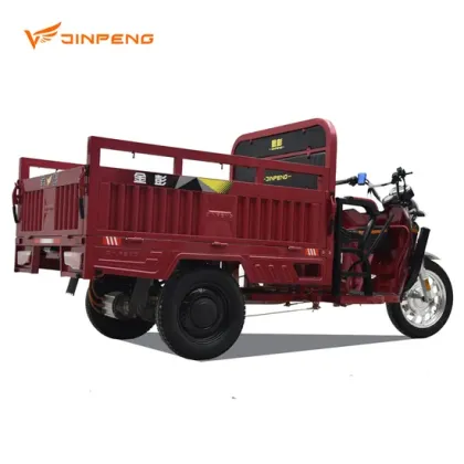 Big Battery 3-Wheel Electric Cargo Tricycle