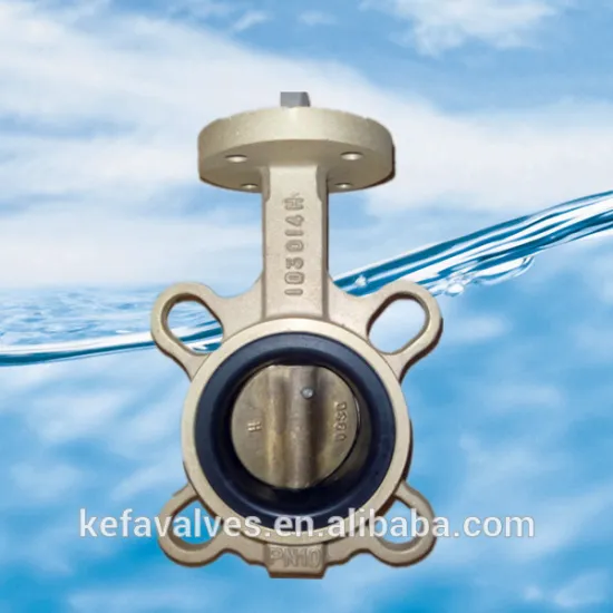 C95800 body butterfly valve