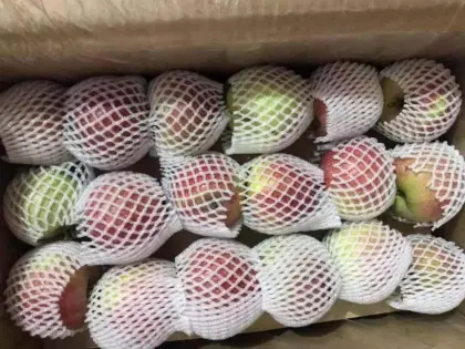 western plastic bagged qinguan