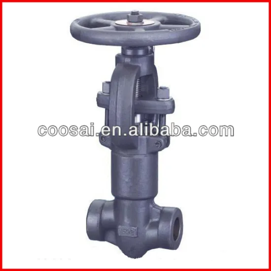 china carbon steel A105 socket weld globe valve
