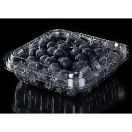 Disposable Small Plastic 125G Fruit Clamshell Packaging Container For  Blueberries Manufacturers