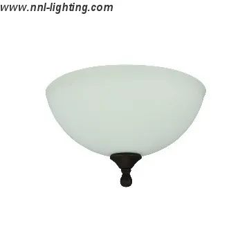 2-Light Close-to-Ceiling Light; Flush Mount