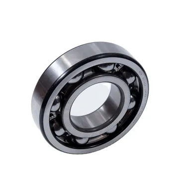 Stainless Steel Deep Groove Ball Bearing 6305-Z