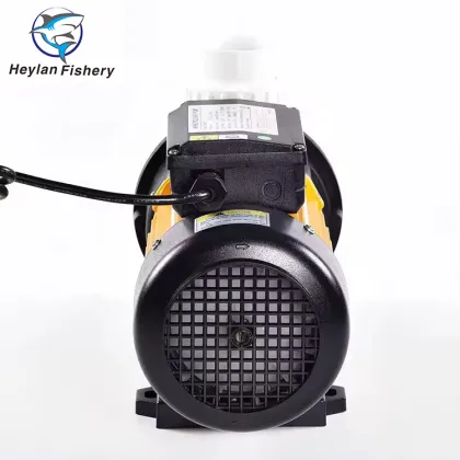 RAS Aquaculture Sea Water Pump - Seawater Plastic Pump with AC Motor