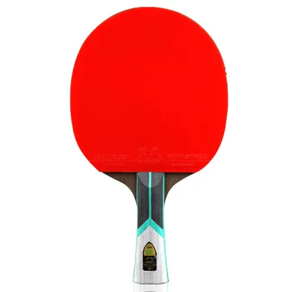 Friendship 729 Professional Table Tennis Racket