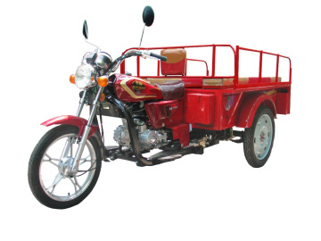 BS110ZH -B tricycle