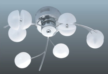 Ceiling Light (HCJ67C-05250)