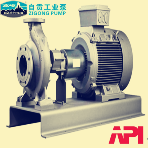 OH1/OH2 Chemical Process Pump