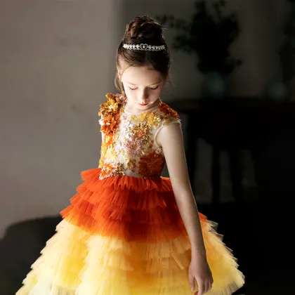 Embroidered Pearl Skirt Dress for Girls