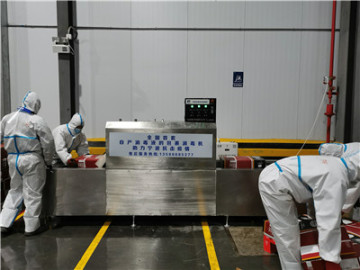 Attrezzatura automatizzata per la sterilizzazione dei pacchi a catena del freddo