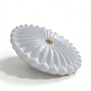 LED ceiling light for indoor home spaces