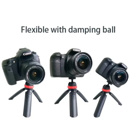 Insta360 Portable Photography Kit: Selfie Stick with Tripod Stand