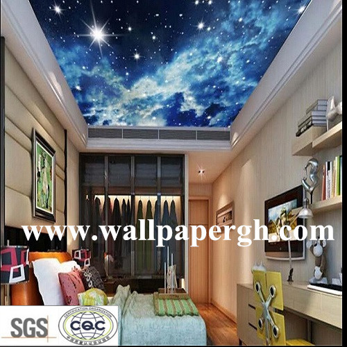 The Ceiling Decorative Wallpaper Mural Sky Design