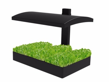 Grow garden with light