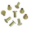 Stainless Steel 304 Rivet