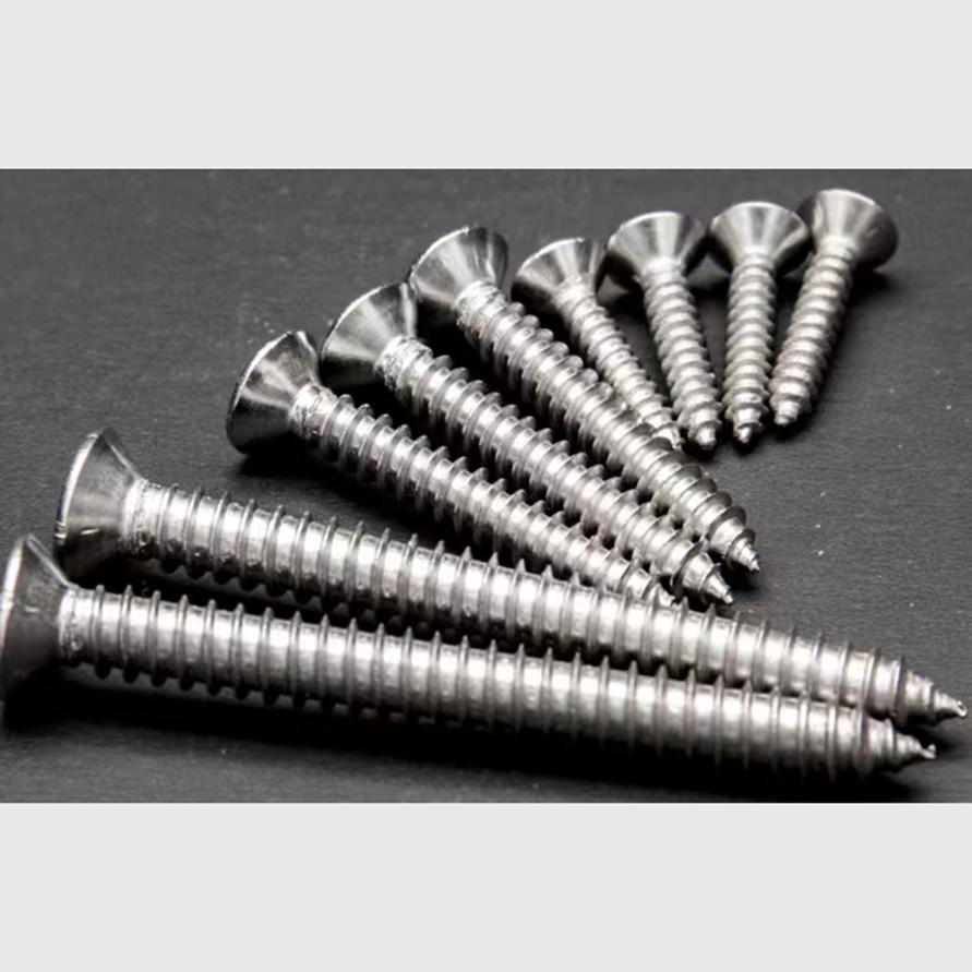 Stainless steel screws and nuts (8)