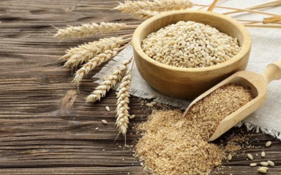 Ferulic Acid Powder Supplier