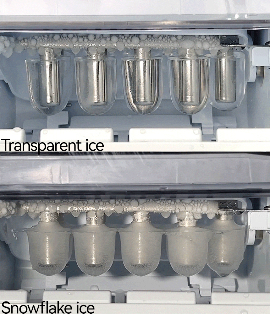 Integrated Water Purificationand lce Making Machine