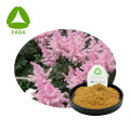 Astilbe chinensis Blattextrakt Pulver 10: 1