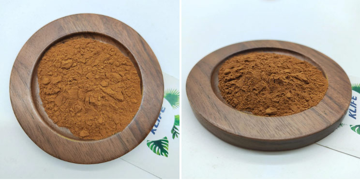 Gentian-Root-Powder2
