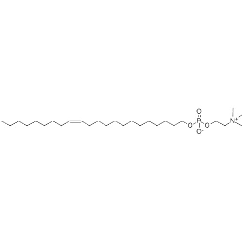 erucilfosfocolina CAS 143317-74-2