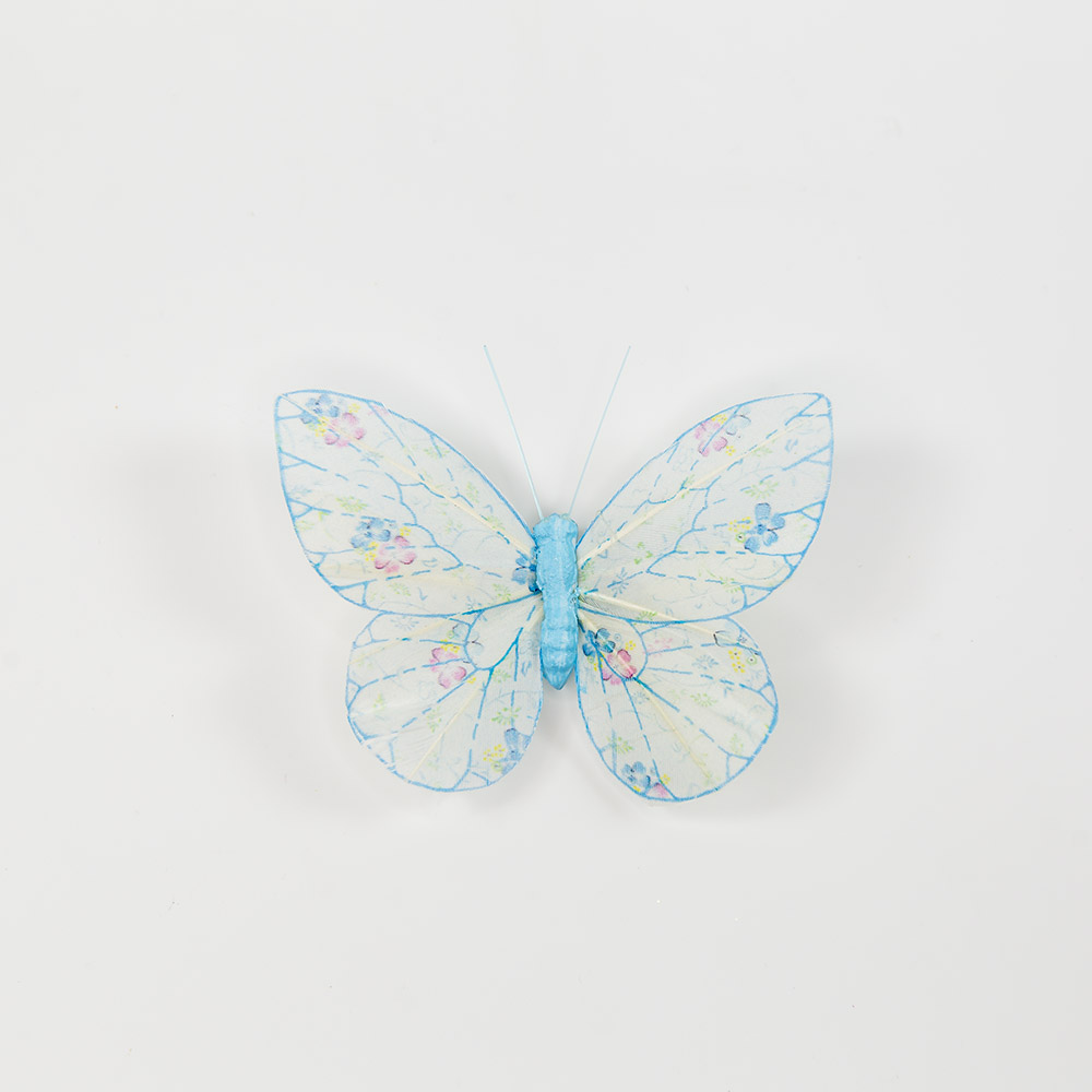 Butterfly craft eerste leerjaar