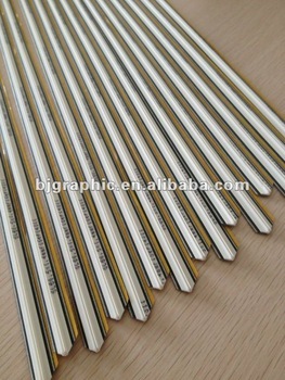 Fibre BGTB 0.3 x 1.0 Creasing Matrix in 13 mm wide