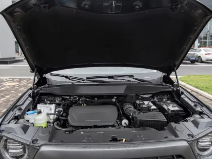 HAVAL DARGO Vehicle Oil: Best Price for Used Cars