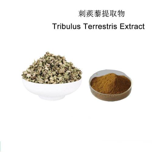Tribulus Terrestris Extract Saponins 98% Protodioscin 40%