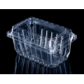 Disposable Food Storage Box