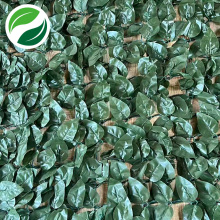 Filet extrudé de plante verte simulée de feuille de pêcher