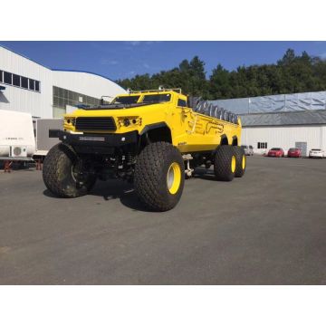 Desert sightseeing Off-road vehicle