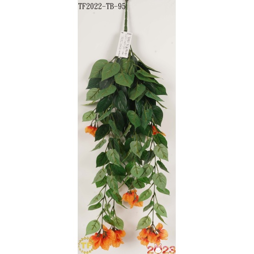 32 "Orange Bougainvillea Hanging Busch