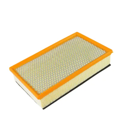 Free Sample Cartridge Air Filter Filtros Automotrices 13717505007