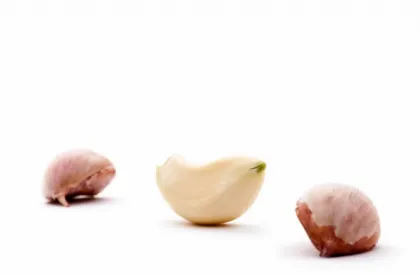 Fresh garlic from the summer harvest