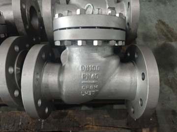 DN100 PN40 CF8M Swing Check Valve