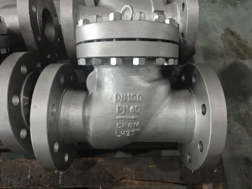 DN100 PN40 CF8M Swing Check Valve