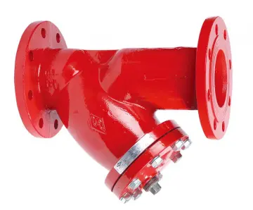 BS Flanged Y-Type Strainer