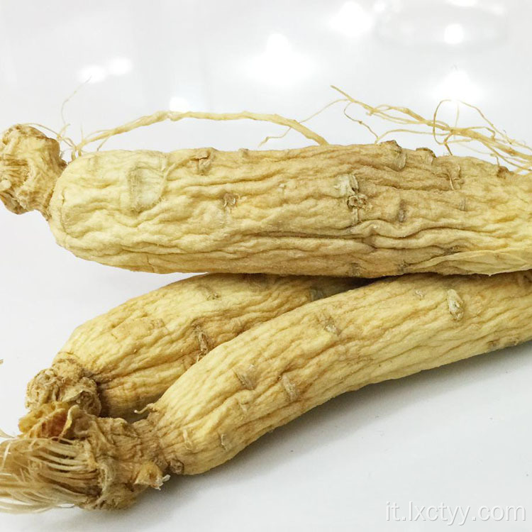 cibo per radici di tè al ginseng