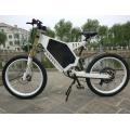 Custom CE Approved Fat Tire Electric Bikes