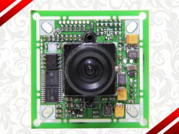Auto Balance 1/3 Sony Super Had Ccd (pal)  Camera Module Cee-zs03v1