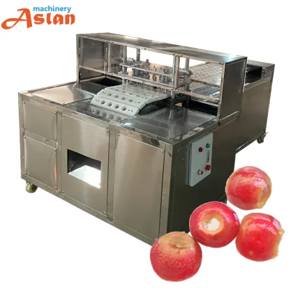 Green Plum Nuclear Removing Machine - Plum Seeds Pitting Machine