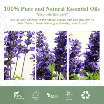 Best Natural Massage Body Oil Clary Sage Fragrance Oil