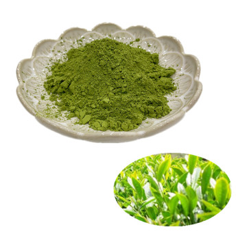 factory suppy high quality matcha (green tea) sweets cookies powdered natural food coloring